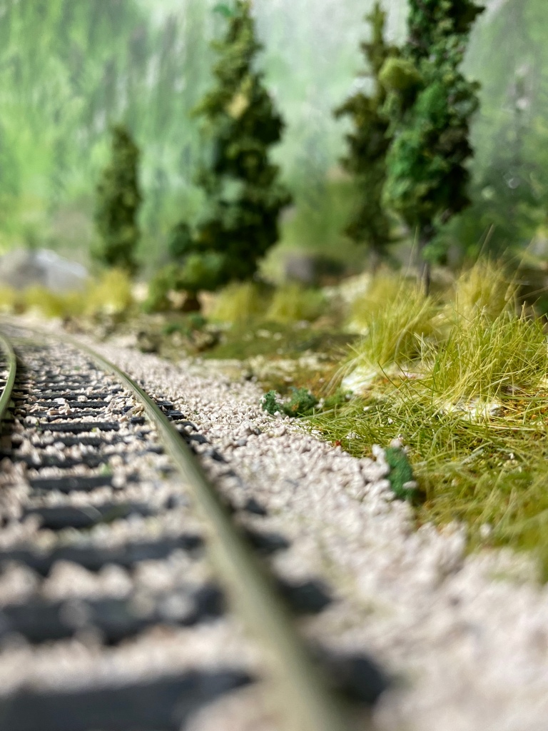 HO scale track, ballast, trees, grass, weeds